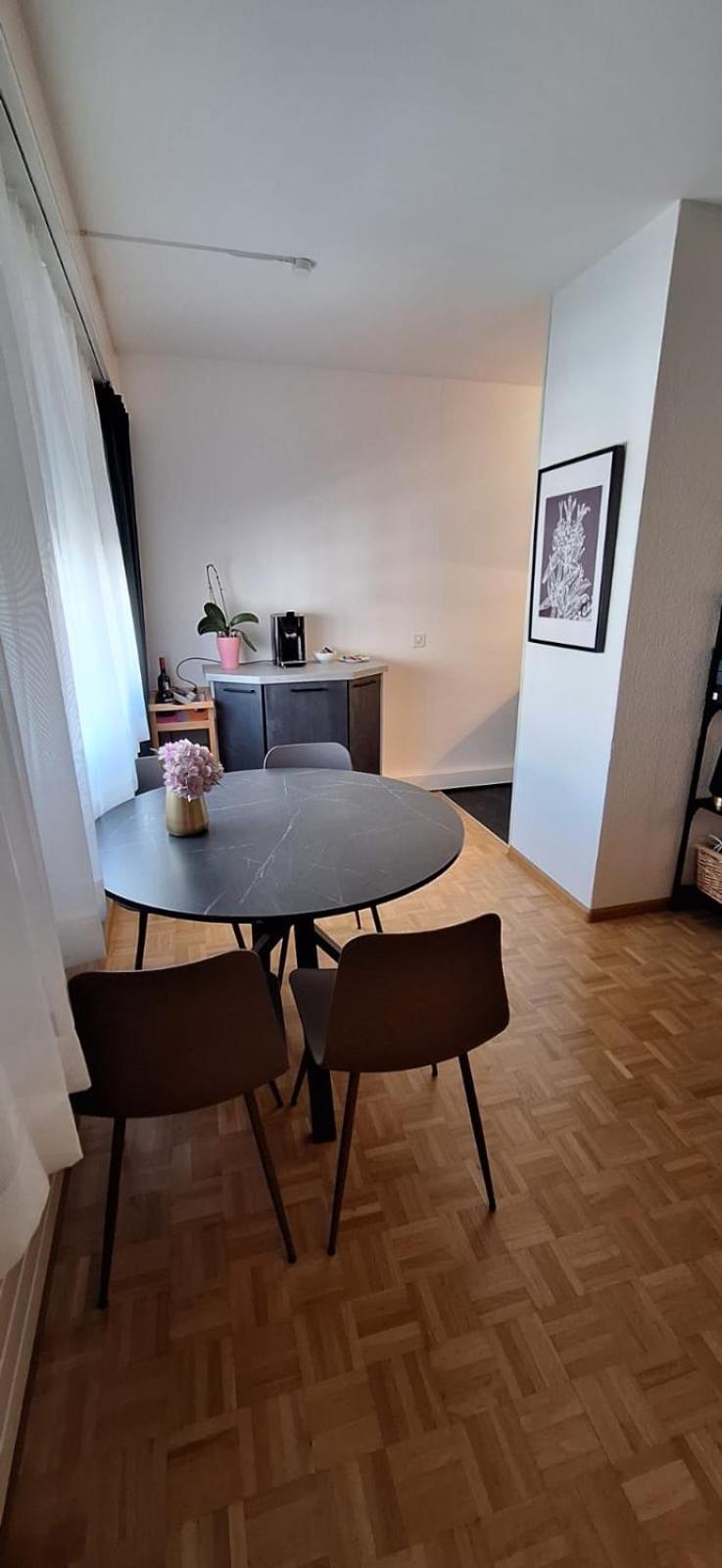 Apartment 2 Near Sbb Basel